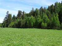 Ислейтарское лесничество