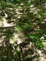 Старинная пасека.Вернулись летом,пчелиные ульи 