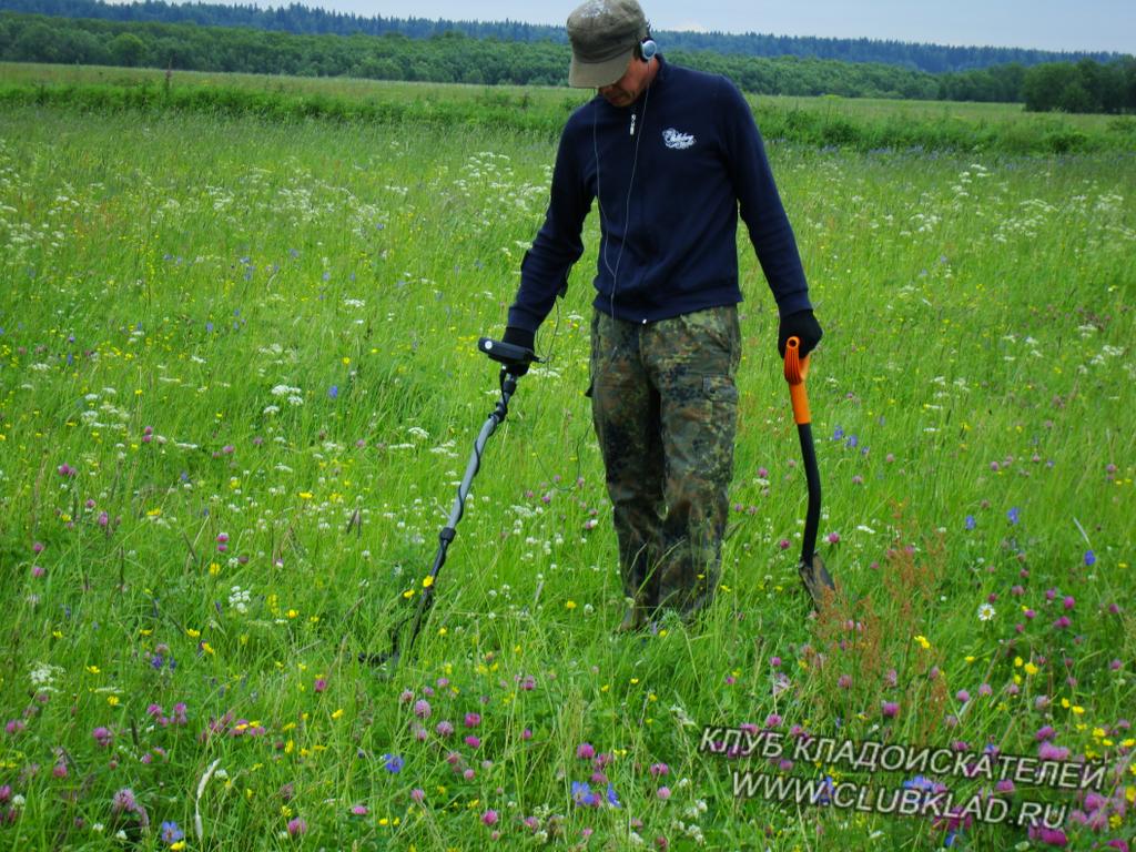 В полях