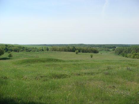 Курская область