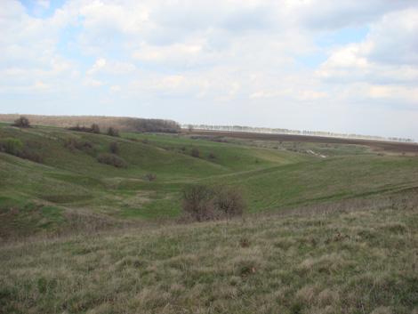 Белгородская область