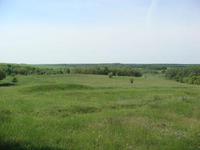 Курская область