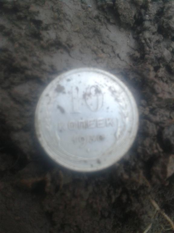 в лесу