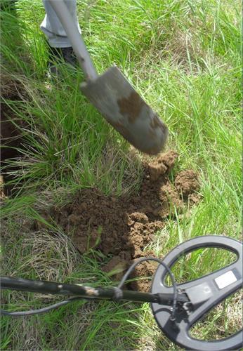 поищим