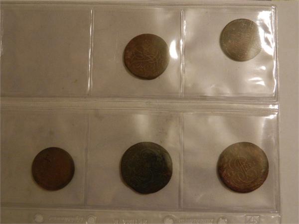 коллекция