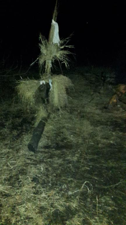 Масленница 2016