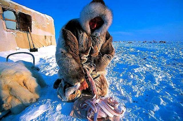 Строганина