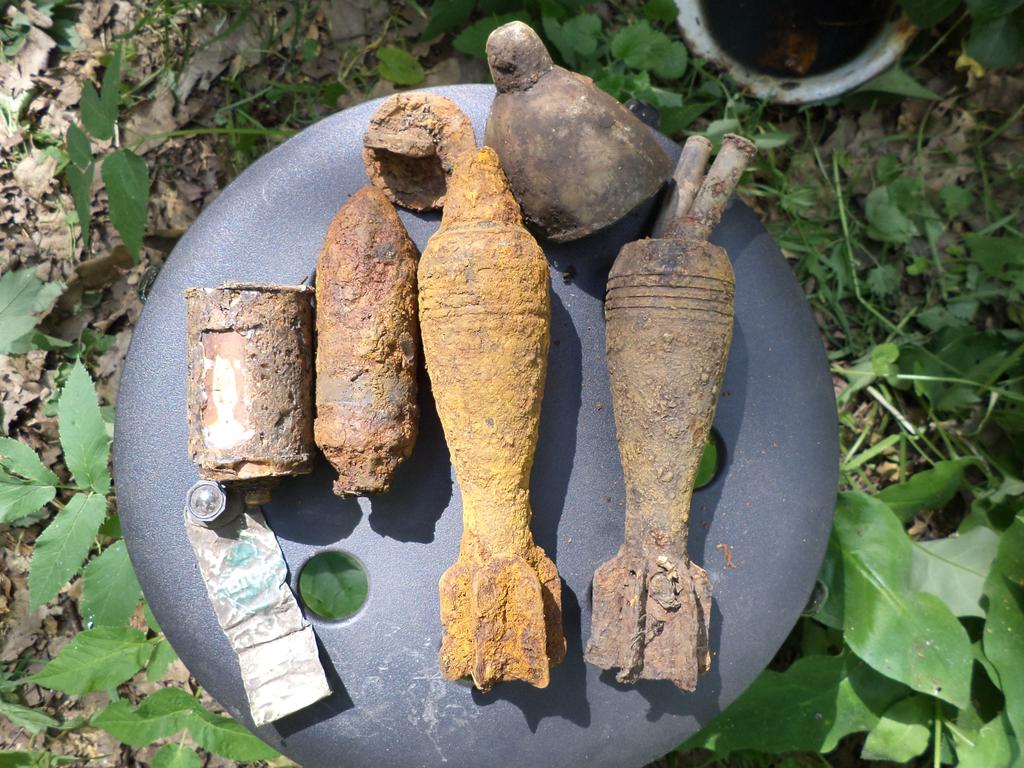 ВОП - утилизированны сотрудниками МЧС на полигоне