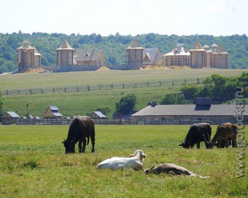 Задонск