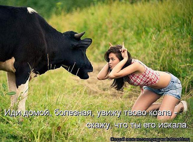 И нам лайки надо