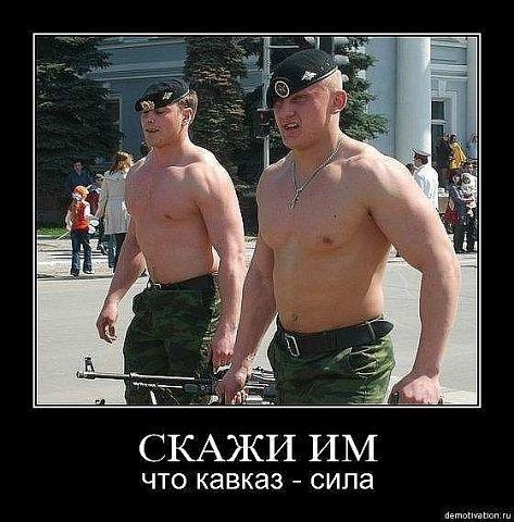 лшлшт