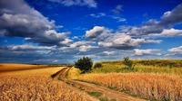 Природа