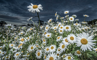 Природа