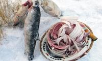 Строганина