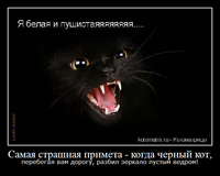 Приметы