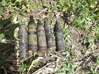 Часть боекомплекта