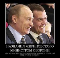 Приколы