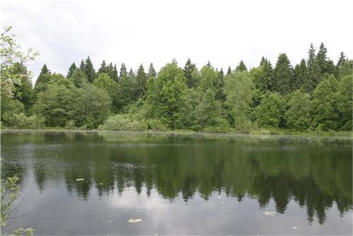 Барский пруд