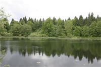 Барский пруд