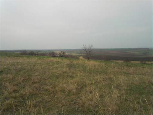 10839.jpg
