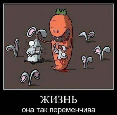 C1yqYxoJ8d4[1]