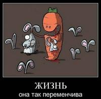C1yqYxoJ8d4[1]