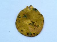 Желтая кованая пластинка с проушиной (диаметр ~ 3 см)