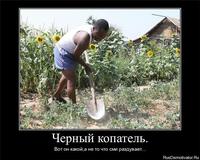 чёрный копарь