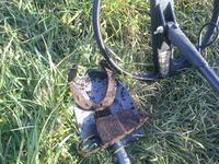 накопал без дескрима 