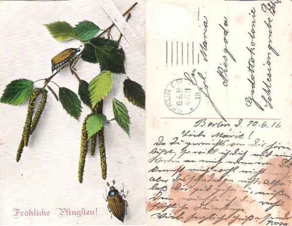 Немецкая открытка 10.6.1916г