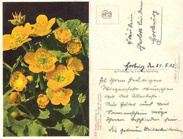 Немецкая открытка 21.5.1942г