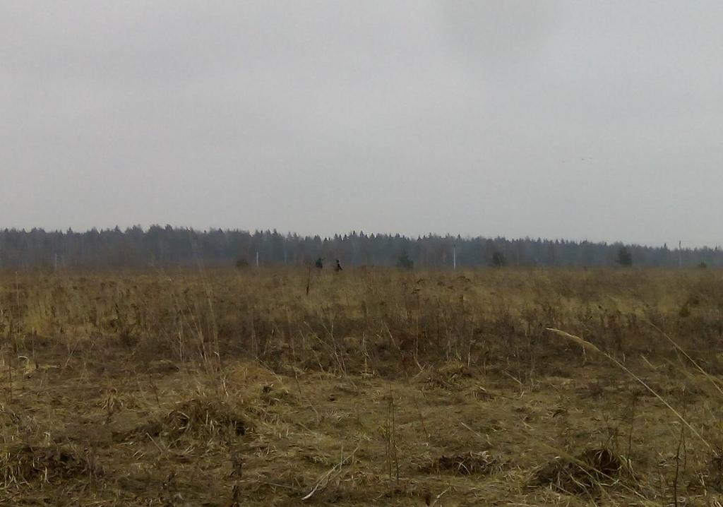 комрады