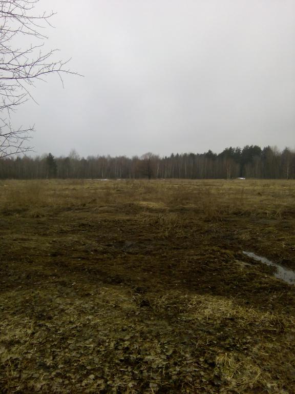 поле