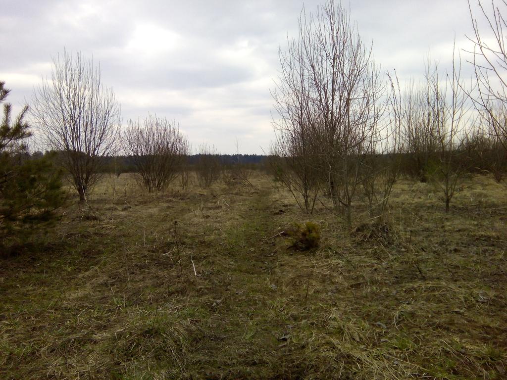 дорога
