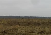 комрады