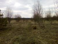 дорога