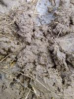 копейка Павла спасена