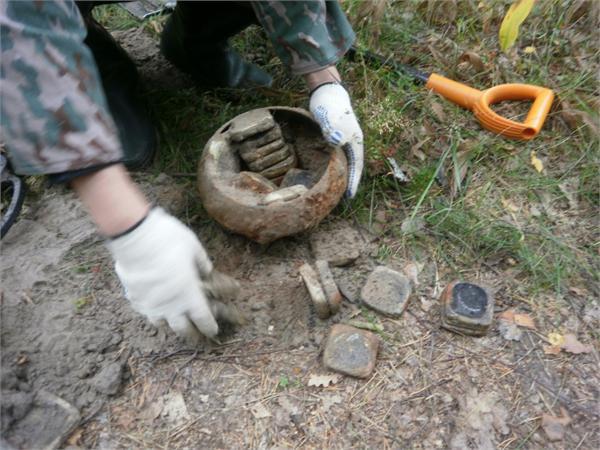 содержимое горшка