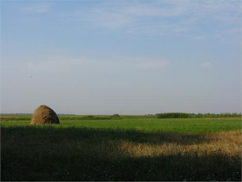 Поля Украины