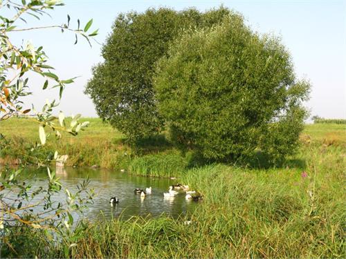 Украина