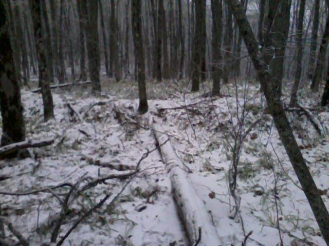 В горах.