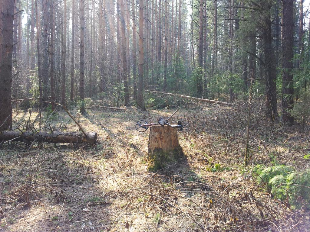 супер денек 