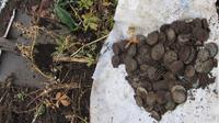 IMG_4138