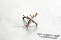 Эмблема на петлицу