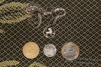 Монеты и серебряная цепочка с кулоном