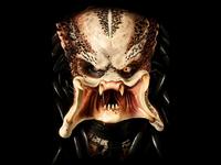Predator