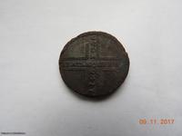 пятачок крестовик