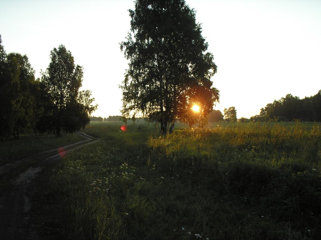 Утро