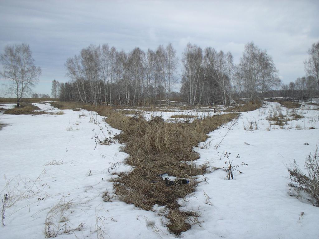 Развилка трактов