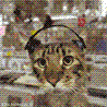 298.gif